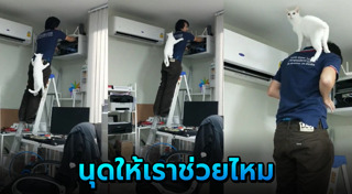 สัตว์แสนรู้