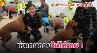 สุนัขตํารวจ