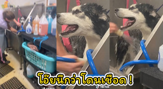ไซบีเรีย
