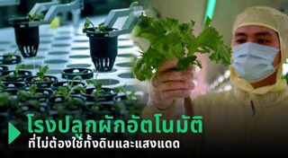 หุ่นยนต์