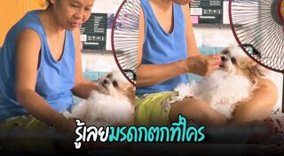 หมาน่ารัก