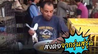 อาหารสัตว์เลี้ยง