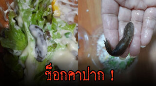 สลัดผัก