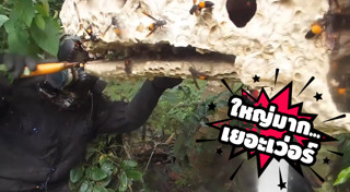 ตัวต่อเลโก้