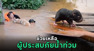 น้ำท่วม 2567