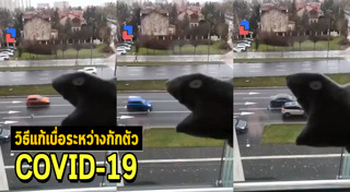 วิธีแก้เบื่อ