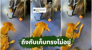 สุนัขตำรวจ