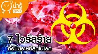 ไข้เลือดออก