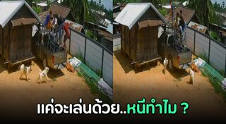 บางแก้ว