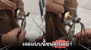 เห็บหมัด