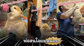 หมาพูดได้