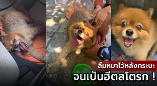 ฮีตสโตรก