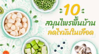 สมุนไพรลดไขมัน