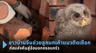 ช่วยเหลือสัตว์