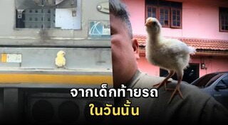 สัตว์เลี้ยง