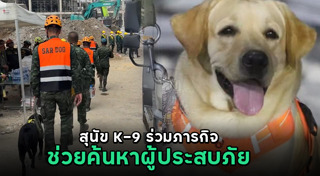 สุนัขตํารวจ