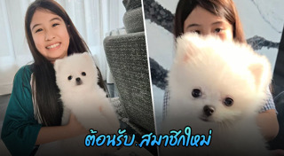 น้องมายู