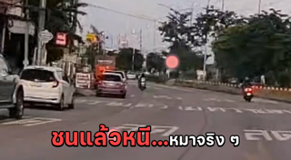 รถชนสัตว์