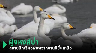 สัตว์ป่าคุ้มครอง