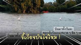 สัตว์โลกน่ารัก