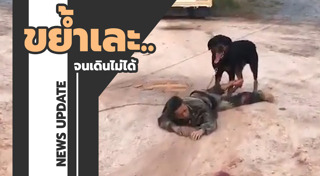 ร็อตไวเลอร์