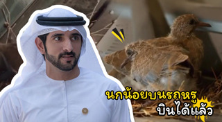 เจ้าชายชีกห์ฮัมเดน