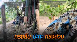 ตำรวจจับคนร้าย