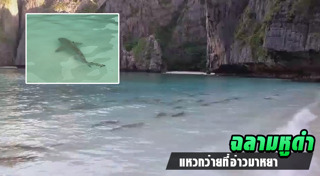 เกาะพีพี