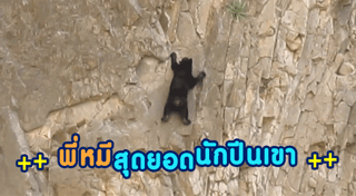 ปีนหน้าผา