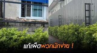 ทิ้งขยะ