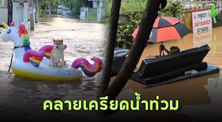 วิธีคลายเครียด