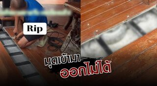 ตัวเงินตัวทอง