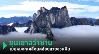 ทะเลหมอก