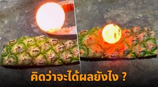 ทดลองวิทยาศาสตร์