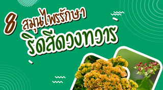 สมุนไพรรักษาโรค