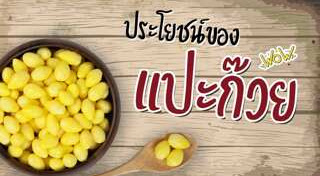 อาหารบำรุงร่างกาย