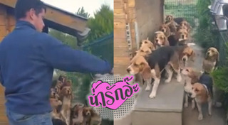 คาเฟ่หมา