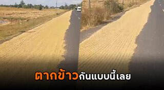 ตากข้าว