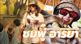 สวนสัตว์เปิด