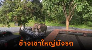 เที่ยวเขาใหญ่