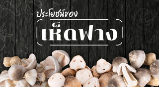 เห็ดฟาง