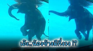 สวนสัตว์เปิด