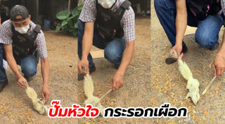 วิธีทำ cpr