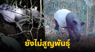 สัตว์ป่าสงวน