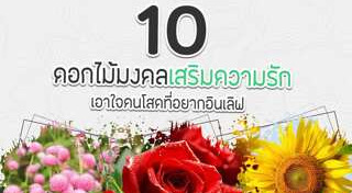 ดอกไม้มงคล