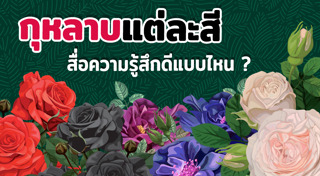 ดอกกุหลาบ