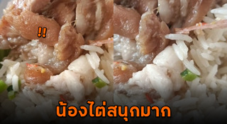 หนอนในอาหาร