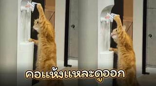 ดื่มน้ำ