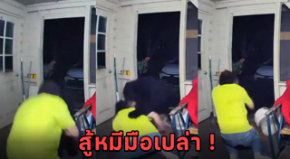 สัตว์ทำร้ายคน