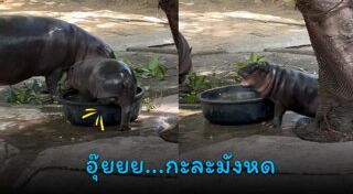 เที่ยวชลบุรี